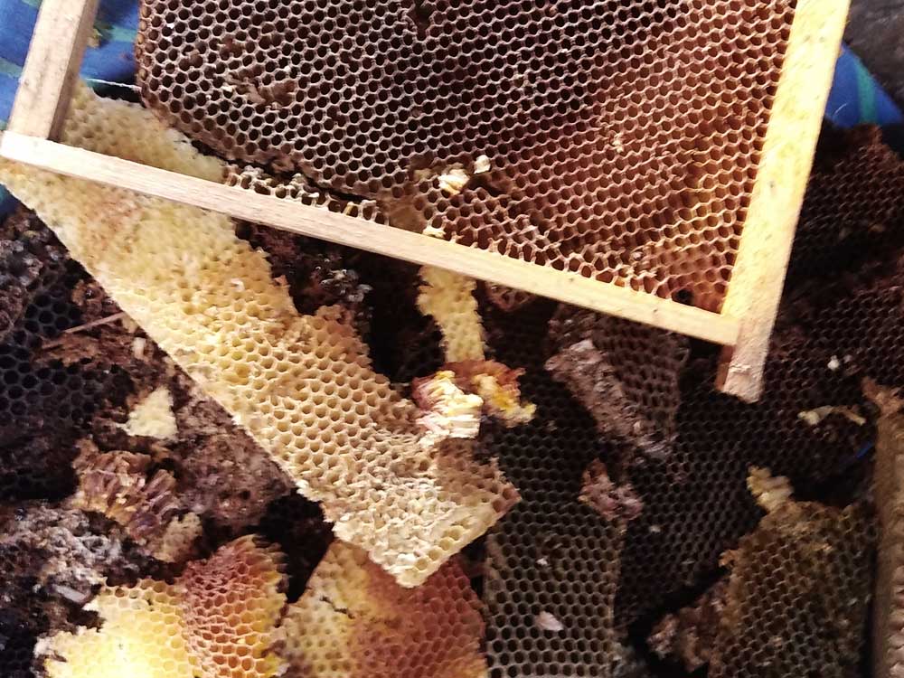 Fabrication de bougies en cire d'abeille